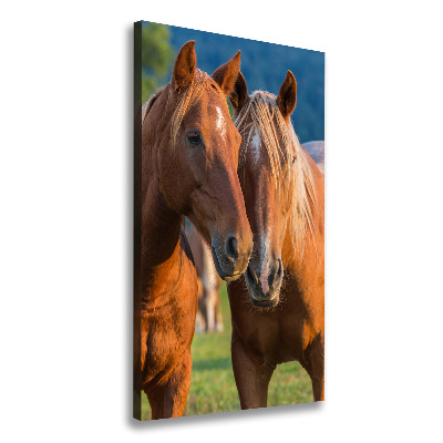 Large canvas wall art Two horses