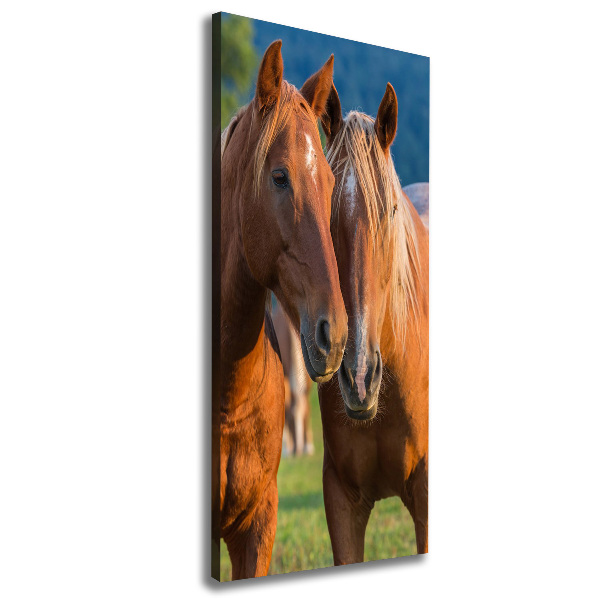 Large canvas wall art Two horses