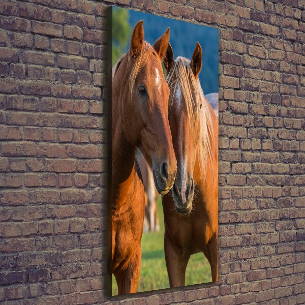 Large canvas wall art Two horses