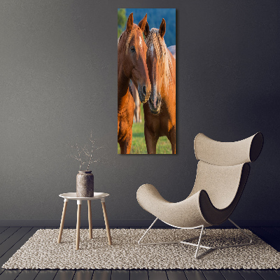 Large canvas wall art Two horses