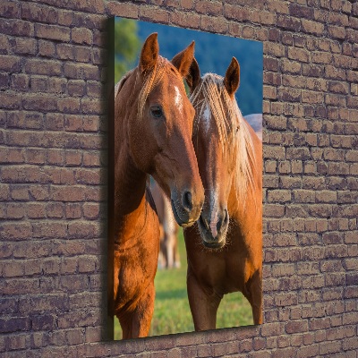 Large canvas wall art Two horses