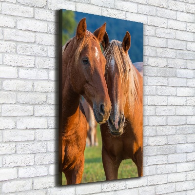 Large canvas wall art Two horses