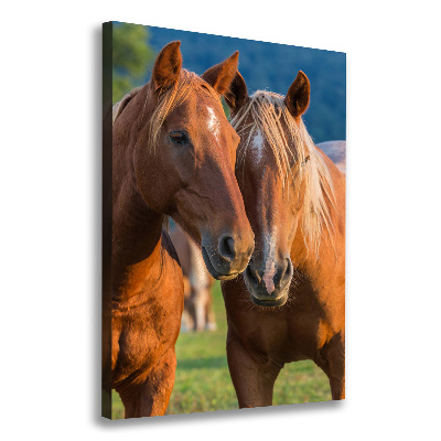 Large canvas wall art Two horses