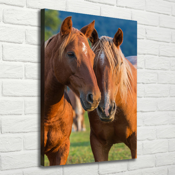 Large canvas wall art Two horses