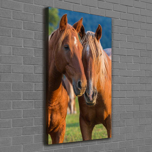 Large canvas wall art Two horses