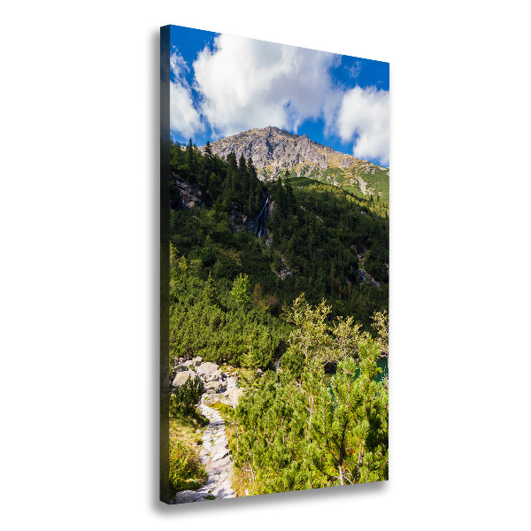 Wall art canvas large Morskie Oko Tatry