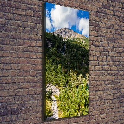 Wall art canvas large Morskie Oko Tatry