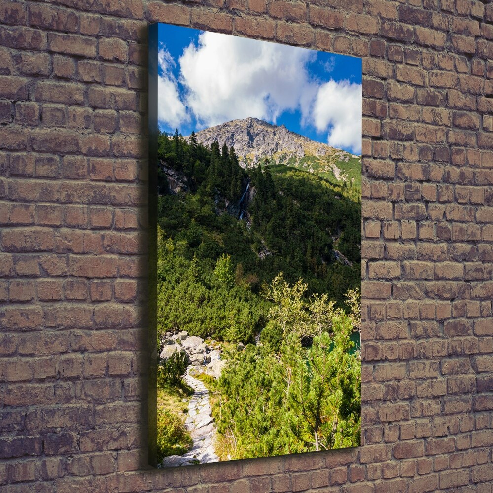 Wall art canvas large Morskie Oko Tatry