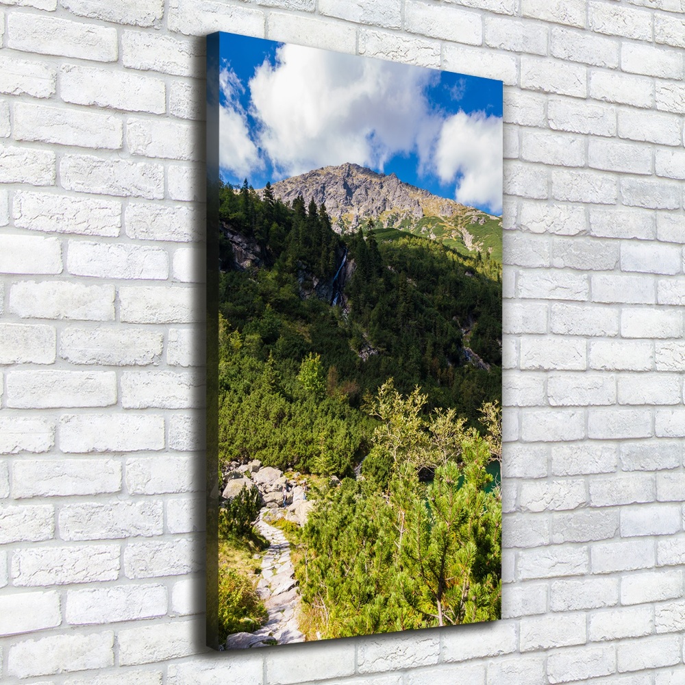 Wall art canvas large Morskie Oko Tatry