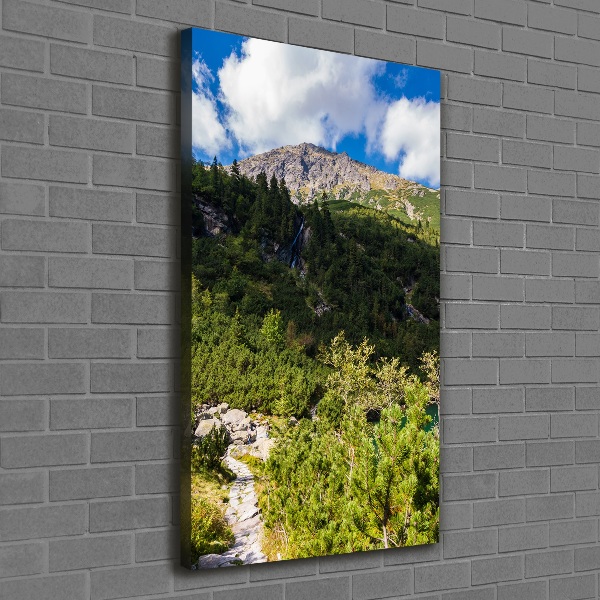 Wall art canvas large Morskie Oko Tatry