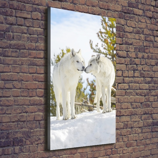 Large canvas wall art Two white wolves