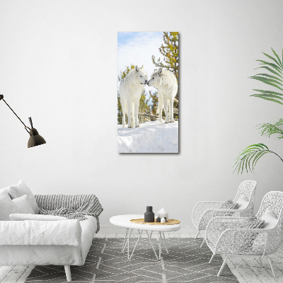 Large canvas wall art Two white wolves