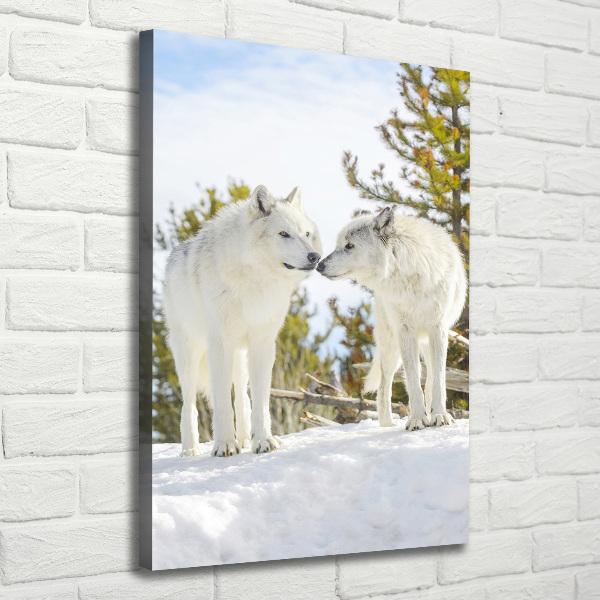 Large canvas wall art Two white wolves