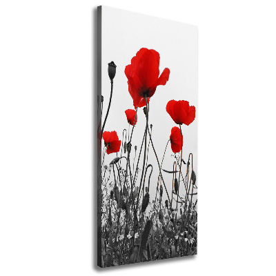 Wall art canvas large Field poppies