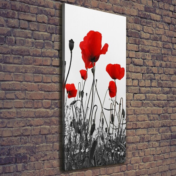 Wall art canvas large Field poppies