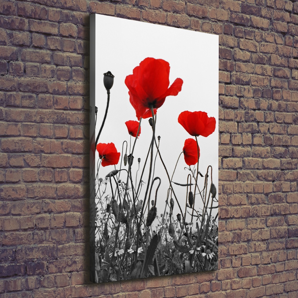 Wall art canvas large Field poppies