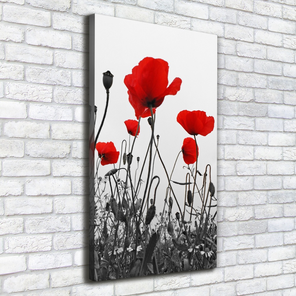 Wall art canvas large Field poppies