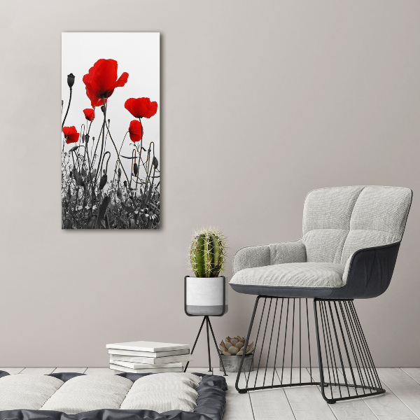 Wall art canvas large Field poppies