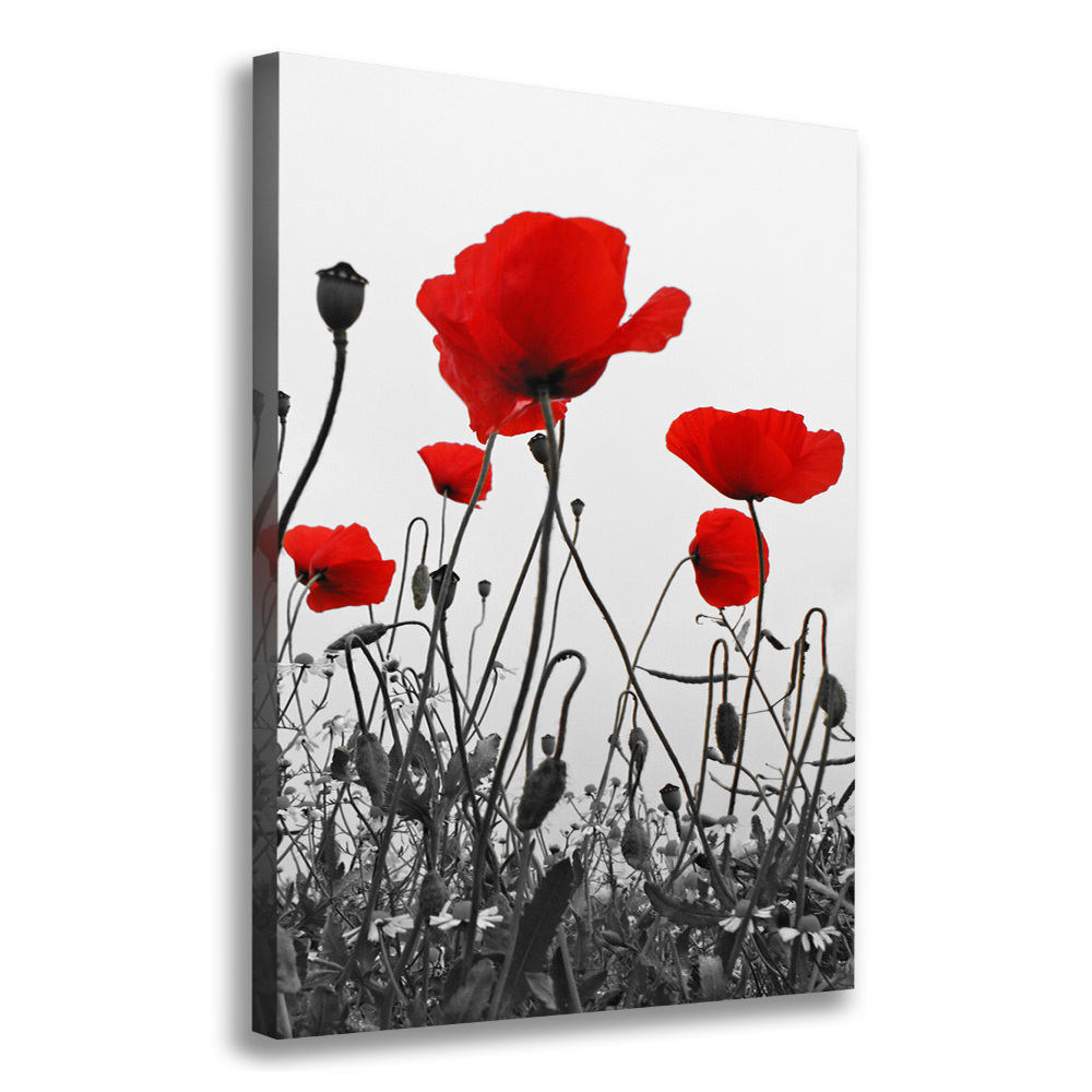 Wall art canvas large Field poppies