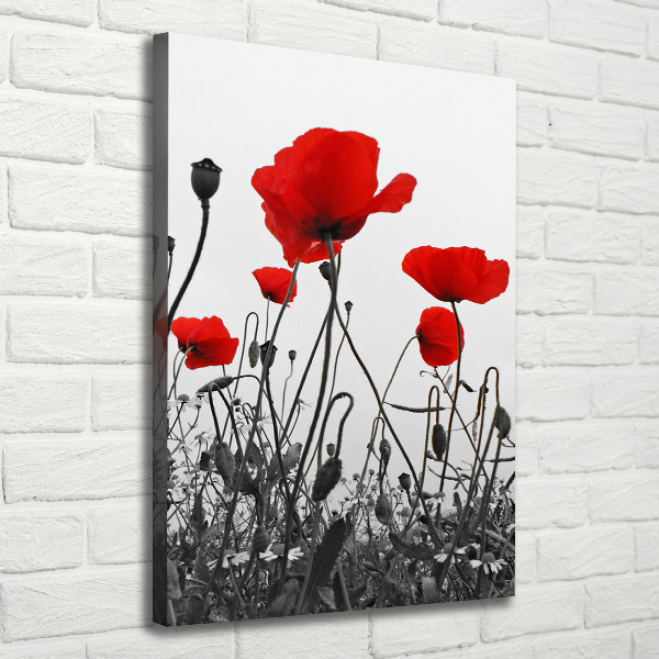 Wall art canvas large Field poppies