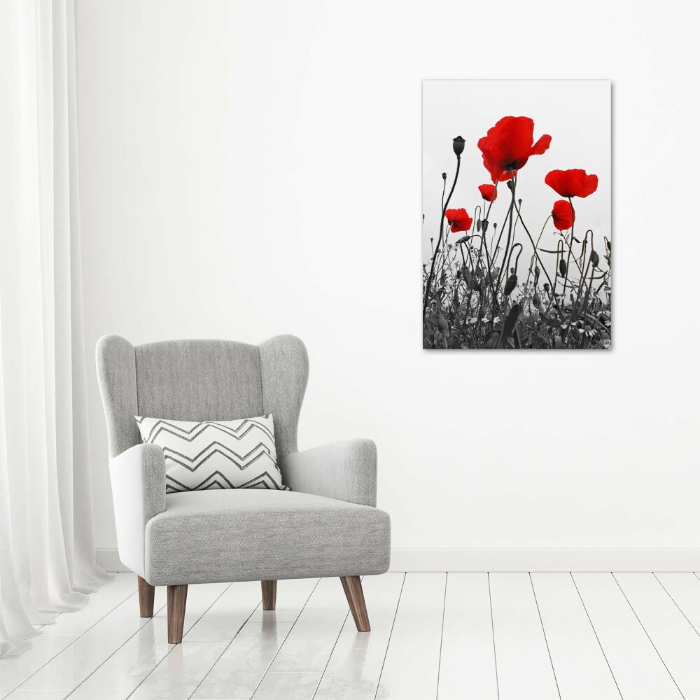 Wall art canvas large Field poppies