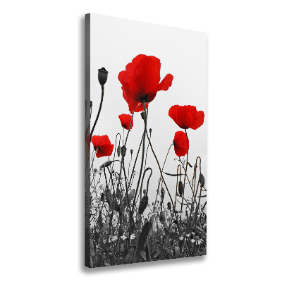 Wall art canvas large Field poppies