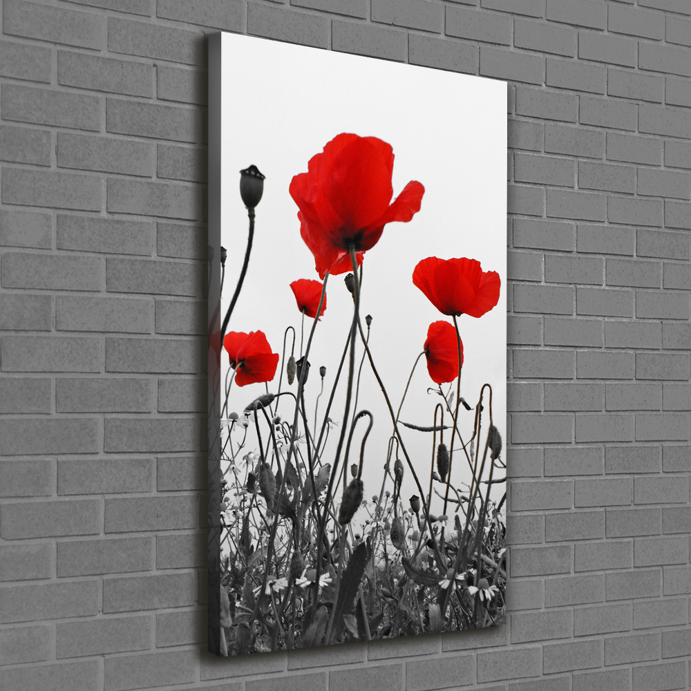 Wall art canvas large Field poppies