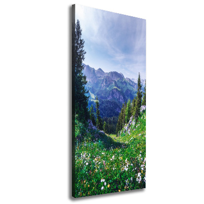 Large canvas wall art Alps