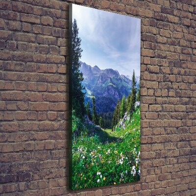 Large canvas wall art Alps