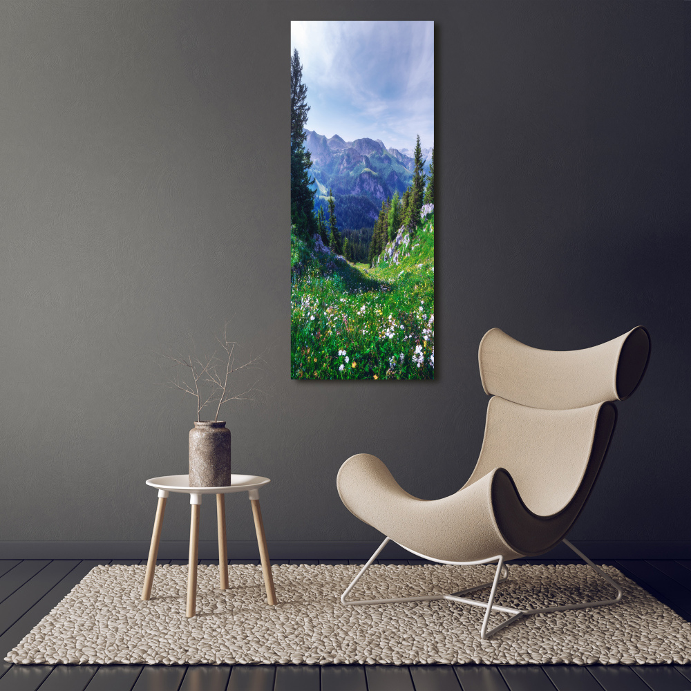 Large canvas wall art Alps