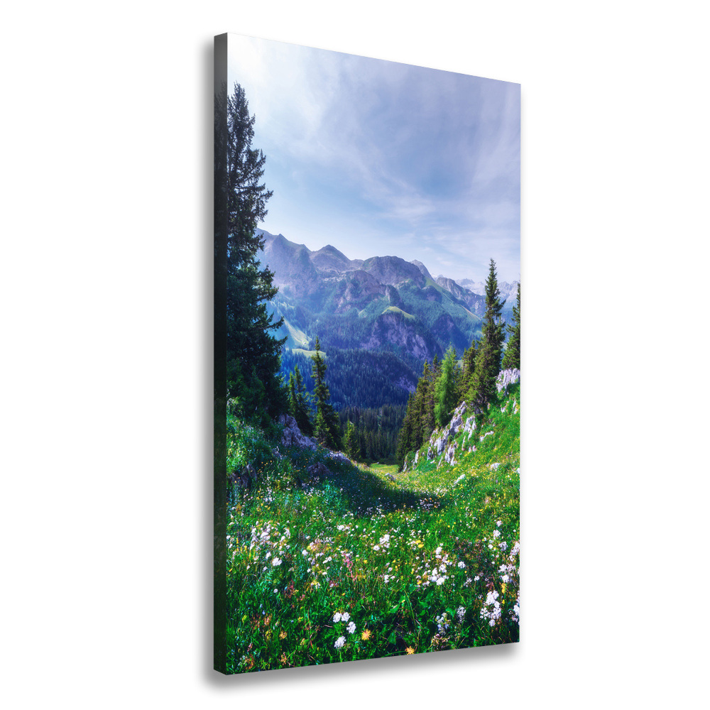 Large canvas wall art Alps