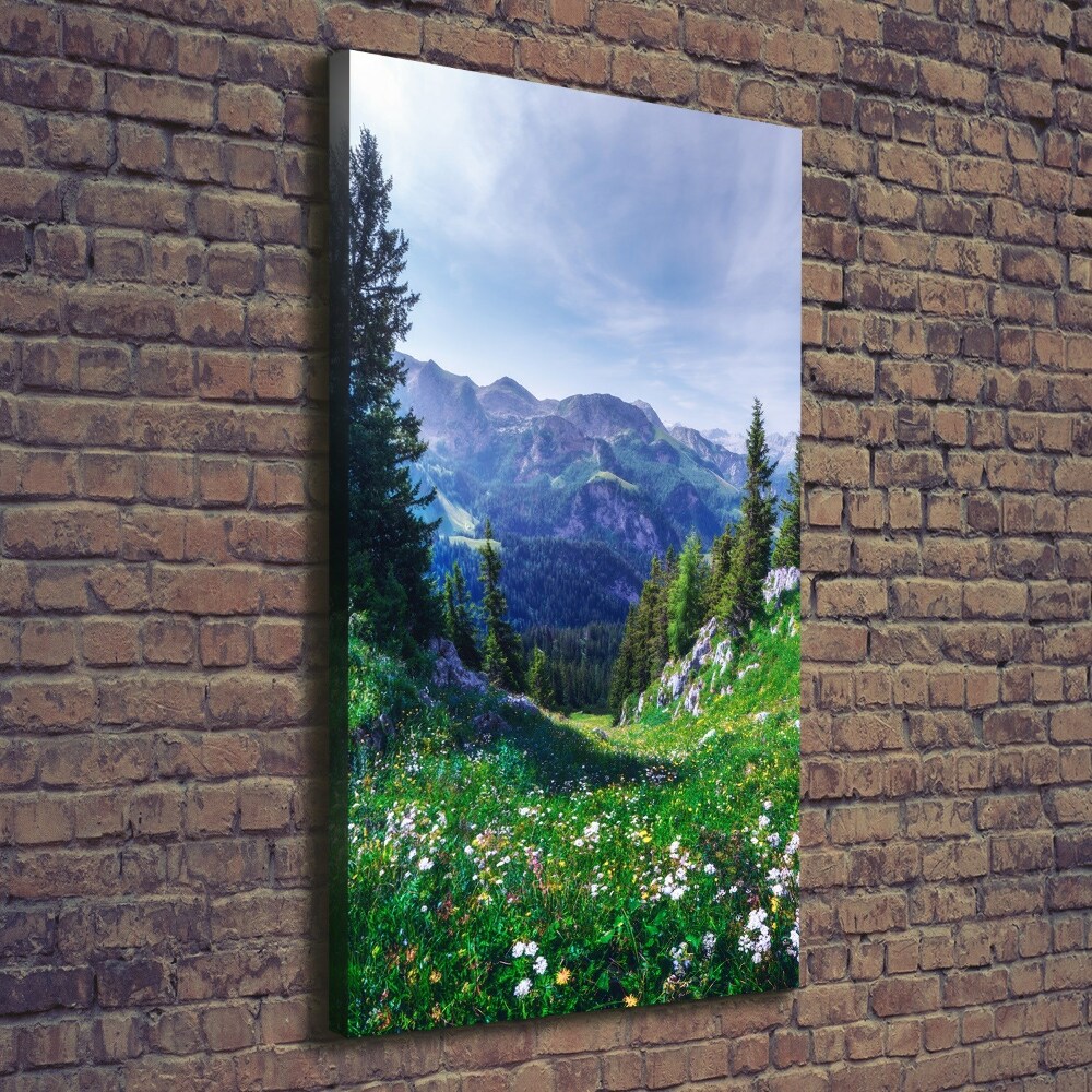 Large canvas wall art Alps