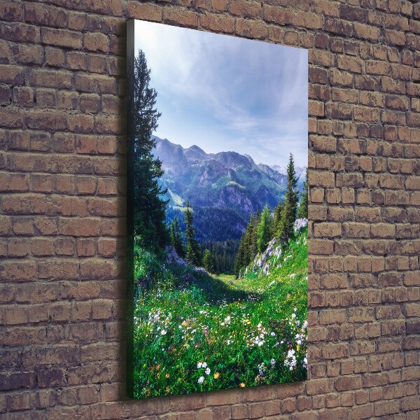 Large canvas wall art Alps