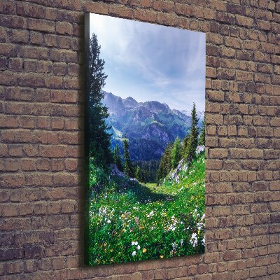 Large canvas wall art Alps