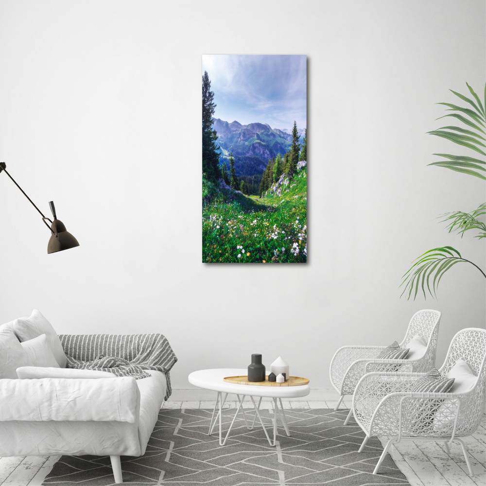 Large canvas wall art Alps