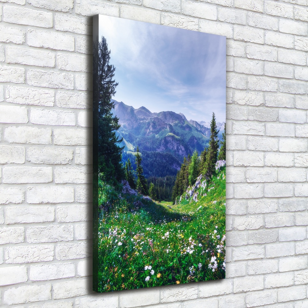 Large canvas wall art Alps