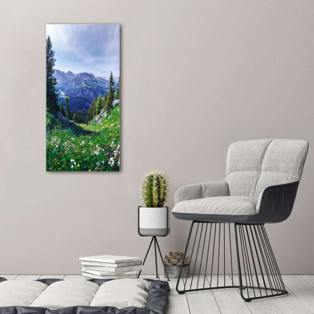 Large canvas wall art Alps