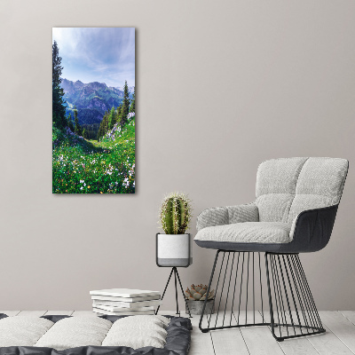 Large canvas wall art Alps