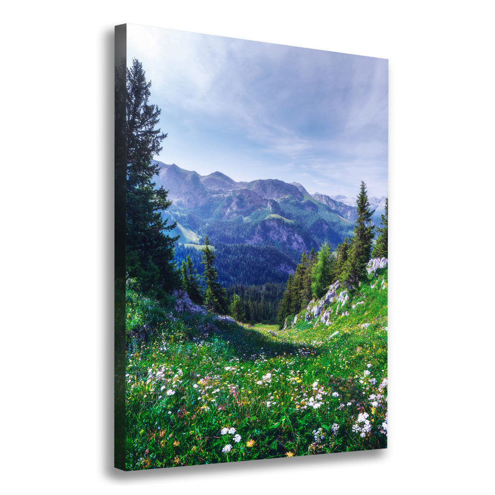 Large canvas wall art Alps