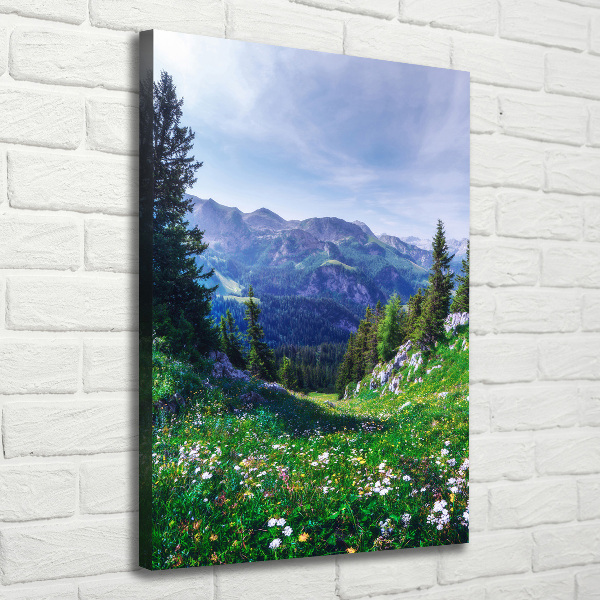 Large canvas wall art Alps