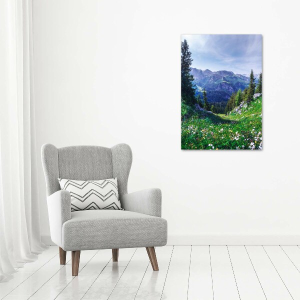 Large canvas wall art Alps