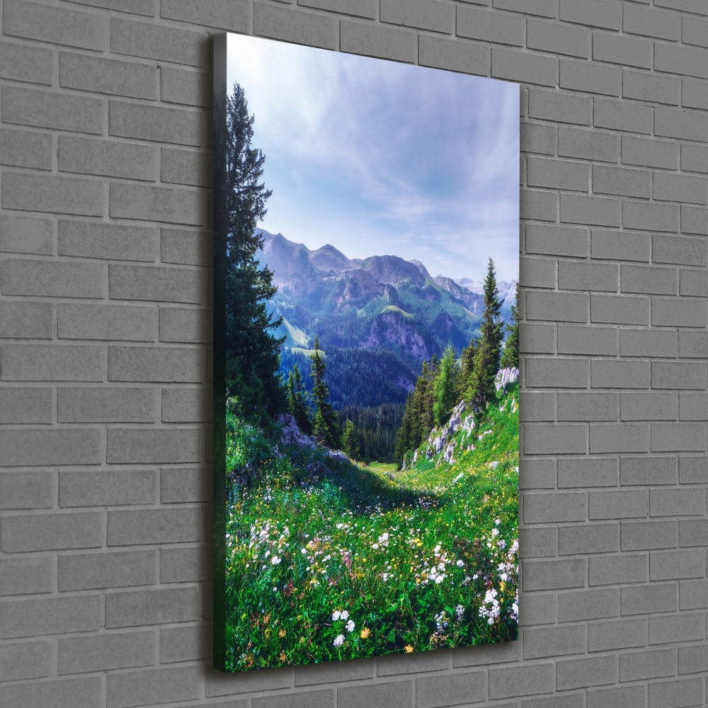 Large canvas wall art Alps