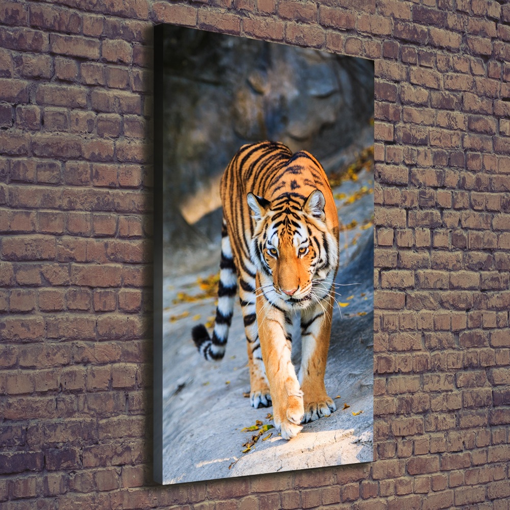 Wall art canvas large Tiger