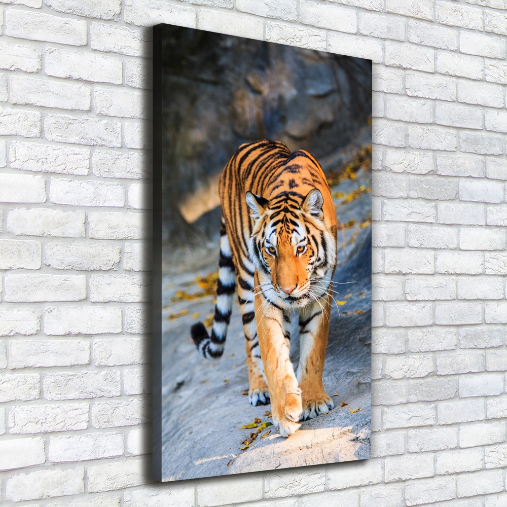 Wall art canvas large Tiger