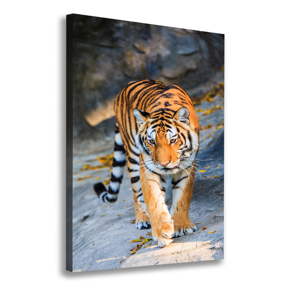 Wall art canvas large Tiger