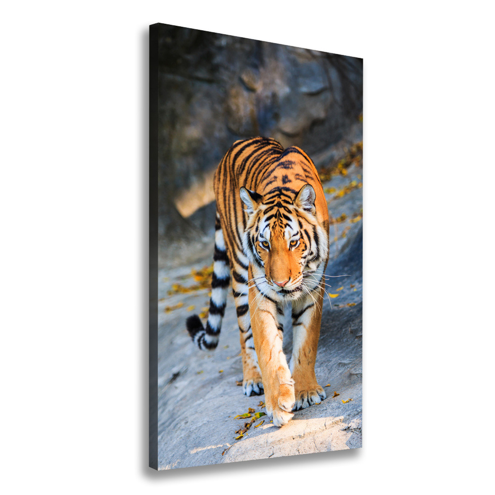 Wall art canvas large Tiger