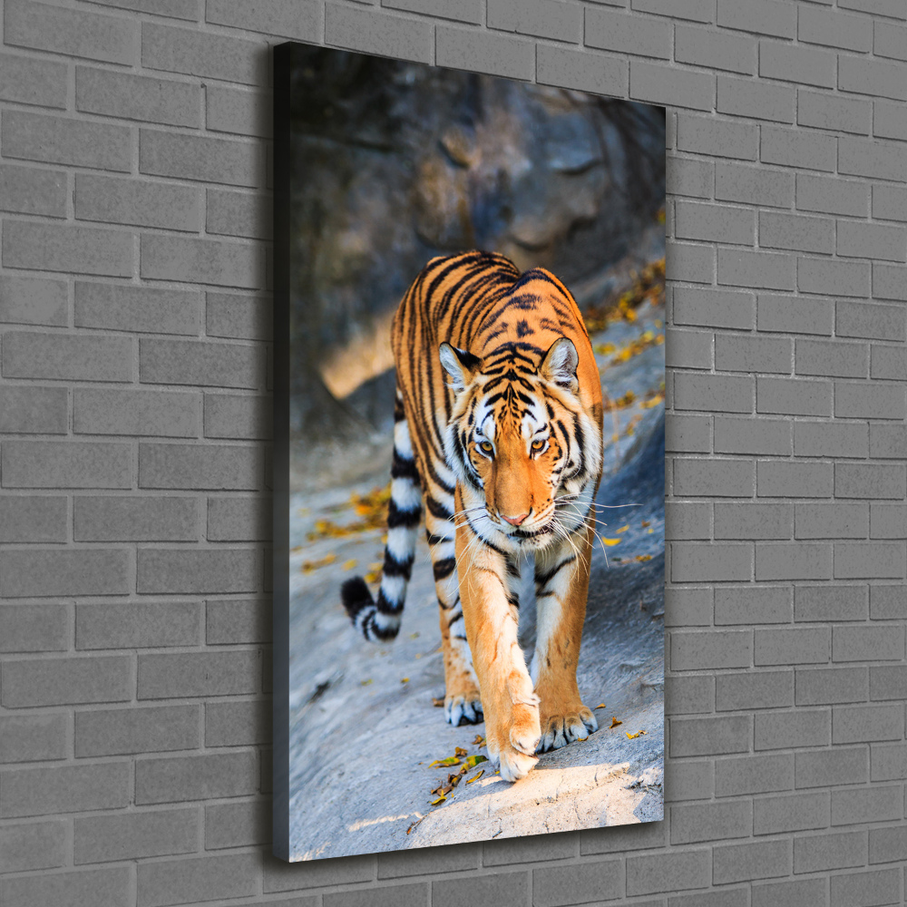 Wall art canvas large Tiger