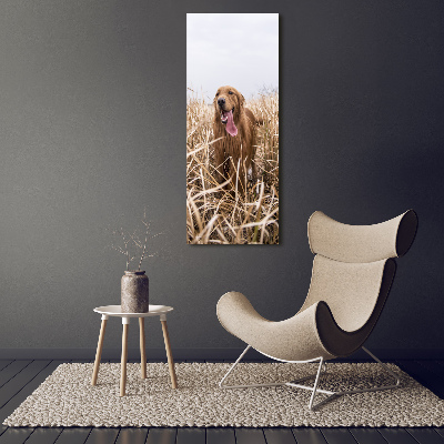 Canvas wall art Golden retriever