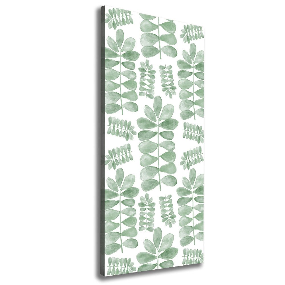 Canvas wall art Eucalyptus leaves