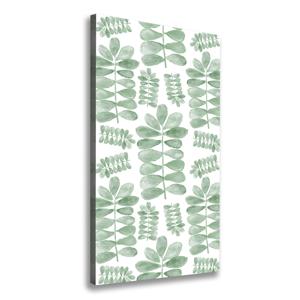 Canvas wall art Eucalyptus leaves